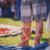 Fotogaléria - 2. ročník (2017)