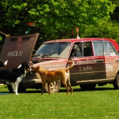 Fotogaléria - 1. ročník (2016)